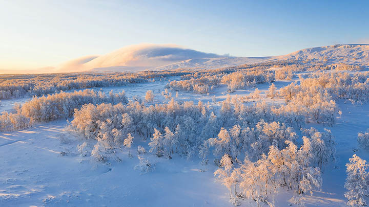 api img 69670a9986c8b