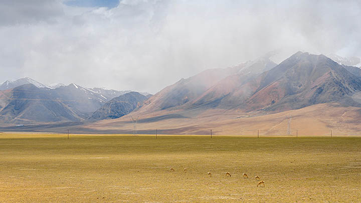 有道翻译下载文本翻译功能如何全面开启? api img 6967706e8007a