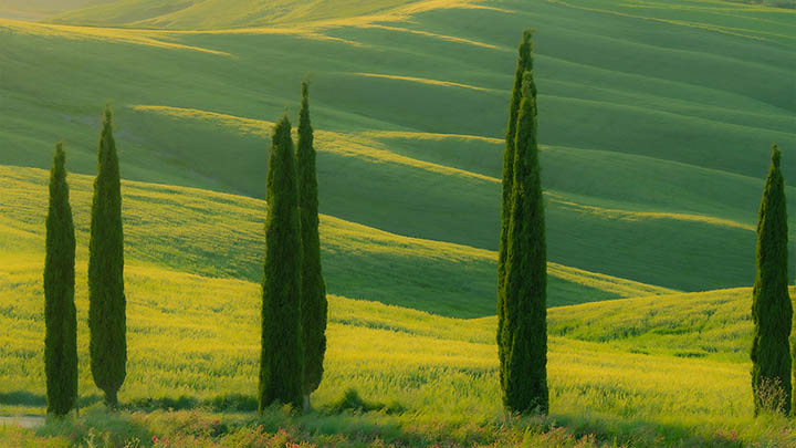 有道翻译下载后文本翻译卡顿?轻松解决问题诀窍+优化策略揭秘 api img 69684ace59cbc