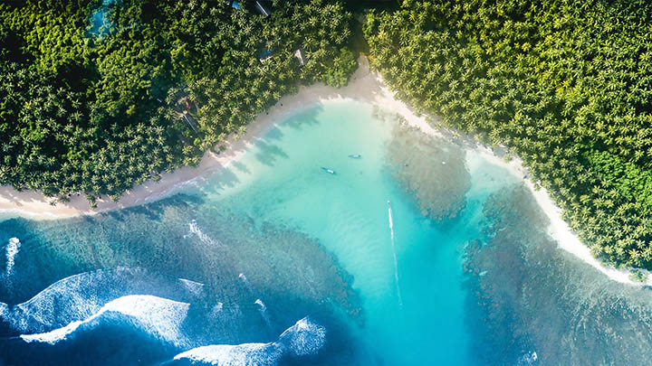 api img 696ba73c1f56e