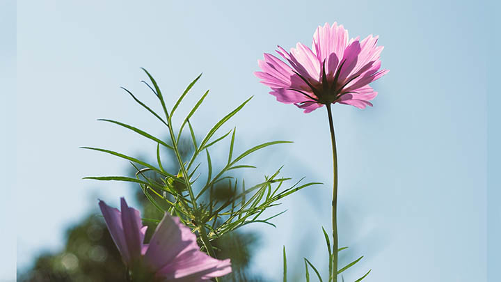 有道翻译下载指南：如何利用文档翻译功能提升效率? 二