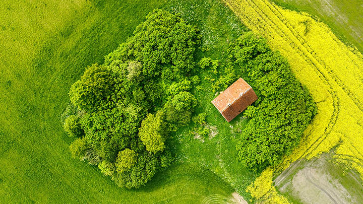 有道翻译下载渠道全公开!文档翻译+设备使用全指南 有道翻译下载渠道全公开!文档翻译+设备使用全指南 二