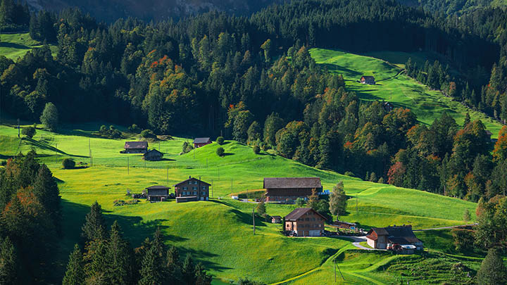 有道翻译下载网页翻译实用指南 二