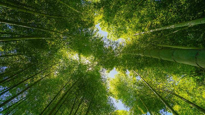 有道翻译网页疑问？下载详解教程 二