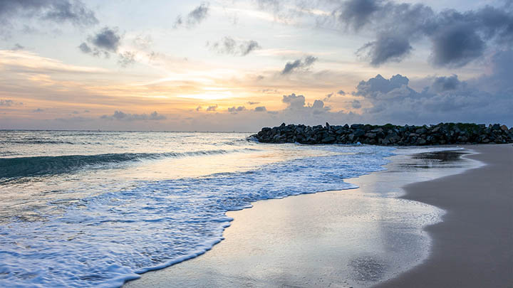 如何下载有道翻译？苹果设备网页翻译指南 二