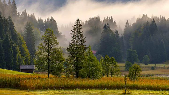 有道翻译下载快捷键设置详细教程Win/Mac辅助 有道翻译下载快捷键设置详细教程Win/Mac辅助 二