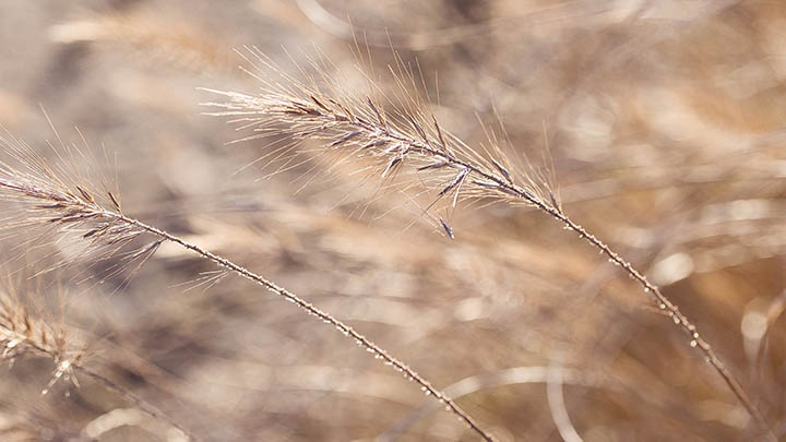 有道翻译快捷键如何设置？下载使用全攻略 二