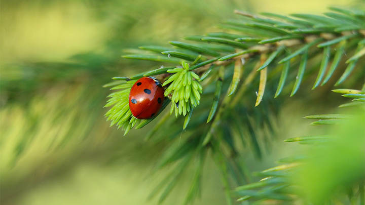 无法下载有道翻译快捷键?终极设备解决方案详解 无法下载有道翻译快捷键?终极设备解决方案详解 二