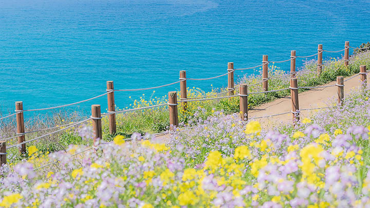 有道翻译下载快捷键安卓怎么用?详细教程不容错过 有道翻译下载快捷键安卓怎么用?详细教程不容错过 二
