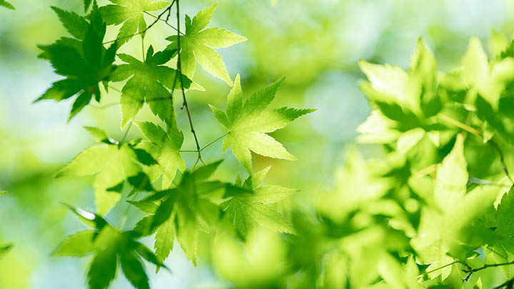 有道翻译下载快捷键全攻略!平板用户必看技巧详解 有道翻译下载快捷键全攻略!平板用户必看技巧详解 二