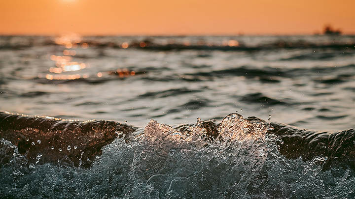 有道翻译生词本如何下载？离线版本获取+同步技巧大全 二