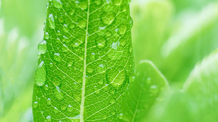 有道翻译下载后如何高效使用生词本功能？详细操作技巧全解析 二