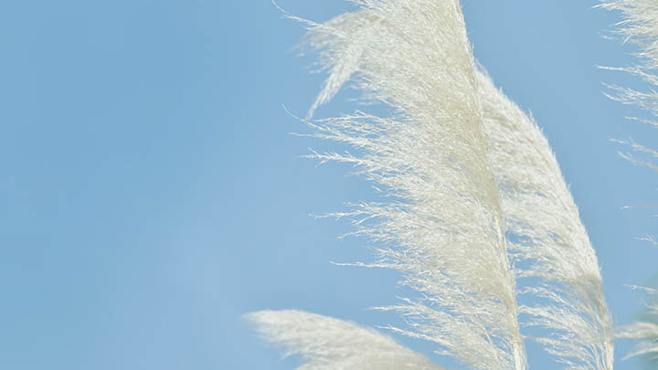 有道翻译下载安装后如何开启生词本功能图解详解 二