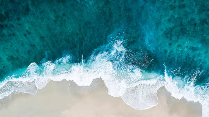 有道翻译下载生词本安卓最全心得揭秘 二