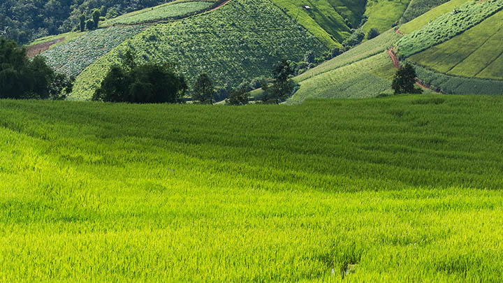 有道翻译下载词典全攻略详解教程,新手快速上手指南 有道翻译下载词典全攻略详解教程,新手快速上手指南 二