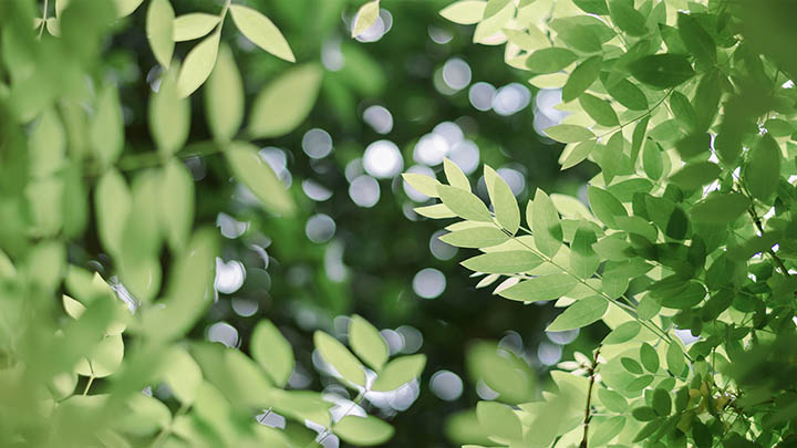 有道翻译词典下载指南：四步开启便捷翻译助手最新版 二