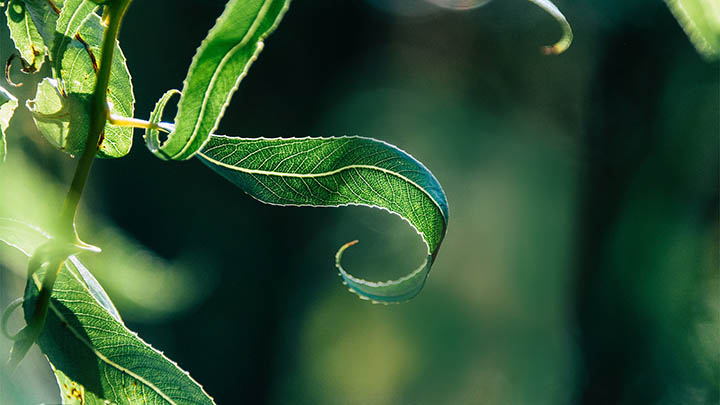 有道翻译下载:解锁例句功能的3个实用技巧 有道翻译下载:解锁例句功能的3个实用技巧 二