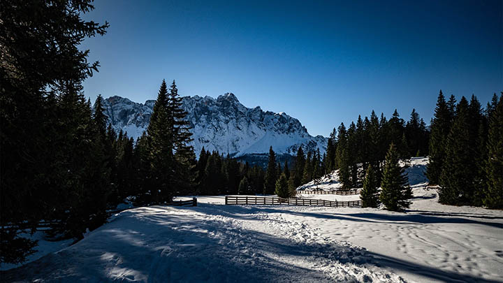 有道翻译下载：例句功能如何解决问题？ 二