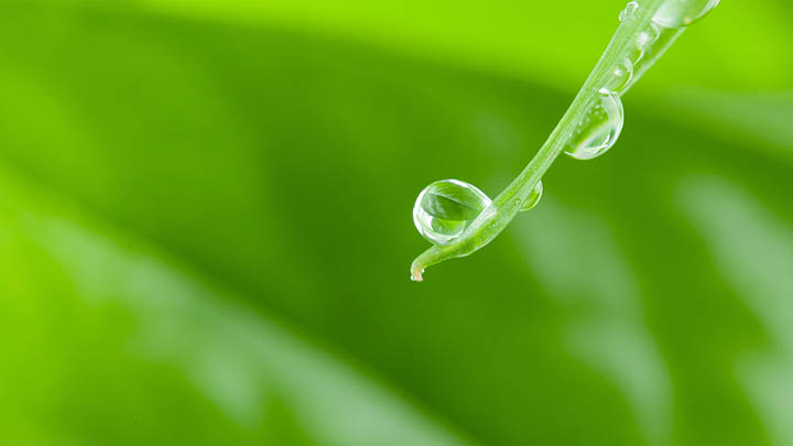 有道翻译下载例句疑问解答+实用技巧 有道翻译下载例句疑问解答+实用技巧 二