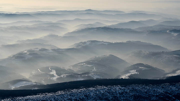 手机端有道翻译下载安装与例句导入全攻略解析 手机端有道翻译下载安装与例句导入全攻略解析 二