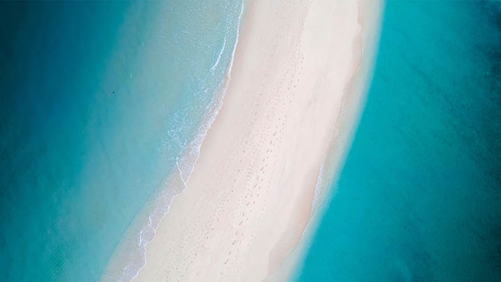 如何轻松下载有道翻译并使用发音功能？ 二