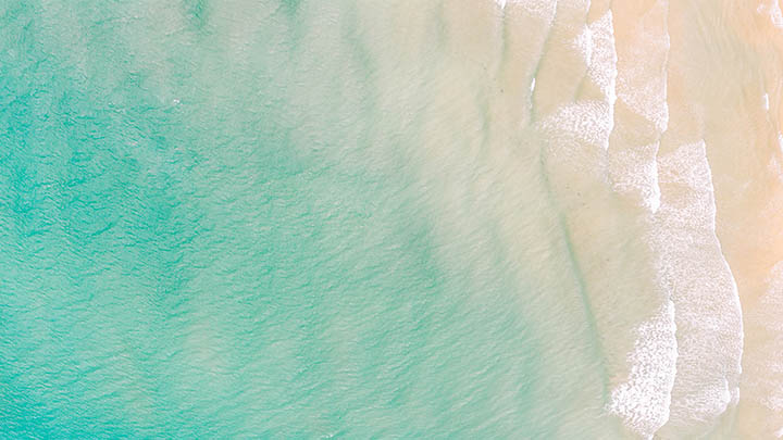 有道翻译下载:历史记录同步全攻略 有道翻译下载:历史记录同步全攻略 二