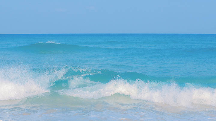 有道翻译下载云同步版本怎么用？完整版指南 二