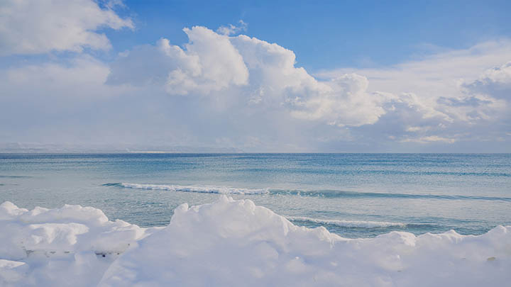 有道翻译云同步安卓怎么下载?详细解答尽在这里! 有道翻译云同步安卓怎么下载?详细解答尽在这里! 二
