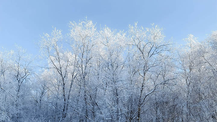 会员功能全解:35项特权解析,畅享无广告翻译体验!有道翻译app下载会员专属特权详解 会员功能全解:35项特权解析,畅享无广告翻译体验!有道翻译app下载会员专属特权详解 二