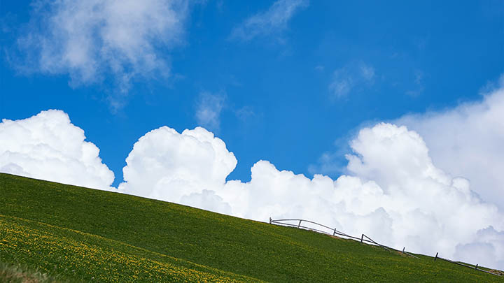 有道翻译下载会员系统：掌握3个简单攻略 二