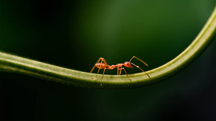 有道翻译下载教程:官方指南助你三步轻松安装 有道翻译下载教程:官方指南助你三步轻松安装 二